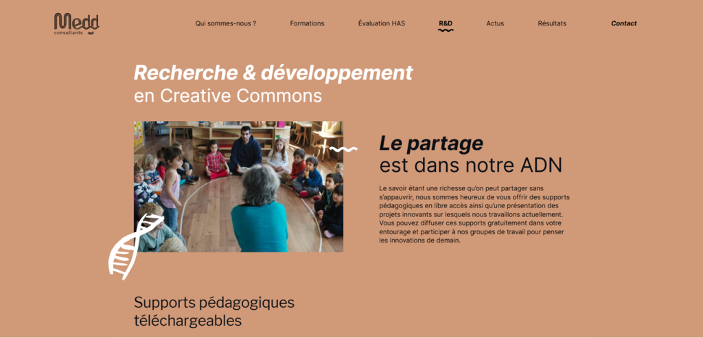Page RéD du site internet de MEDD Consultants - WordPress